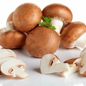 Міцелій Шампіньйона Королівського Коричневого, 10 г