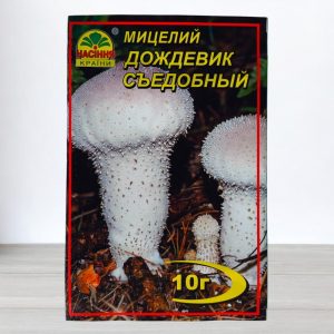 Дождевик съедобный купить в Украине