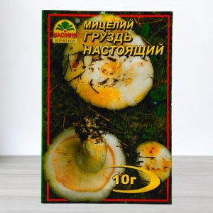 Груздь настоящий купить в Украине