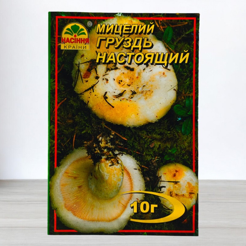 Груздь настоящий купить в Украине