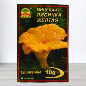 Лисичка желтая купить в Украине