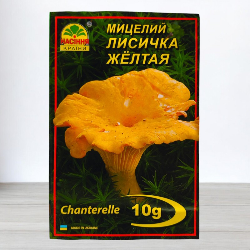 Лисичка желтая купить в Украине