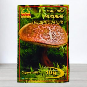 Моховик купить в Украине
