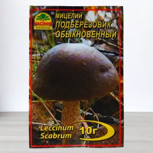 Подберезовик обычный купить в Украине