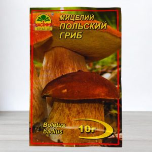 Польский гриб купить в Украине