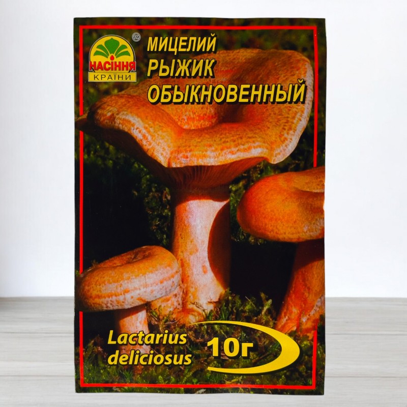 Рыжик обычный купить в Украине