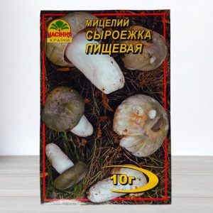 Сыроежка пищевая купить в Украине