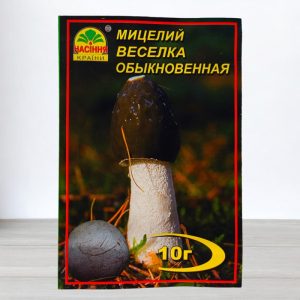 Веселка обыкновенная купить в Украине